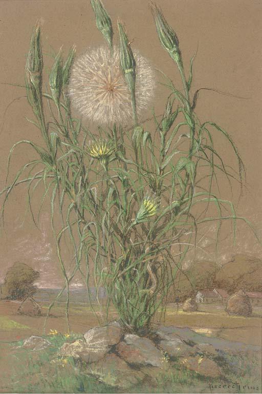 Pierre-Ernest Prins - Study of A Dandelion
