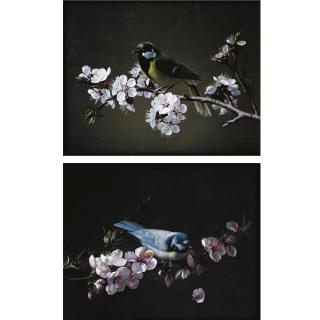 Pierre Etienne Remillieux - Blue Tit On A Branch Of Plum Tree In Bloom; Great Tit On A Branch Of Cherry Tree