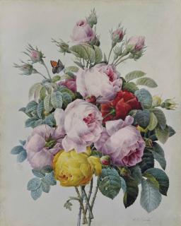 Pierre-Joseph Redouté - A bouquet of roses and rose buds, with a Small Copper butterfly