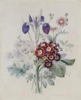Pierre-Joseph Redoute - A bunch of flowers with a blue iris and some red auriculae