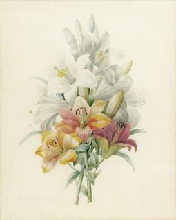 Pierre-Joseph Redouté - Bouquet De Fleurs