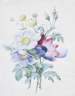 Pierre-Joseph Redouté - Un Bouquet de Pivoines