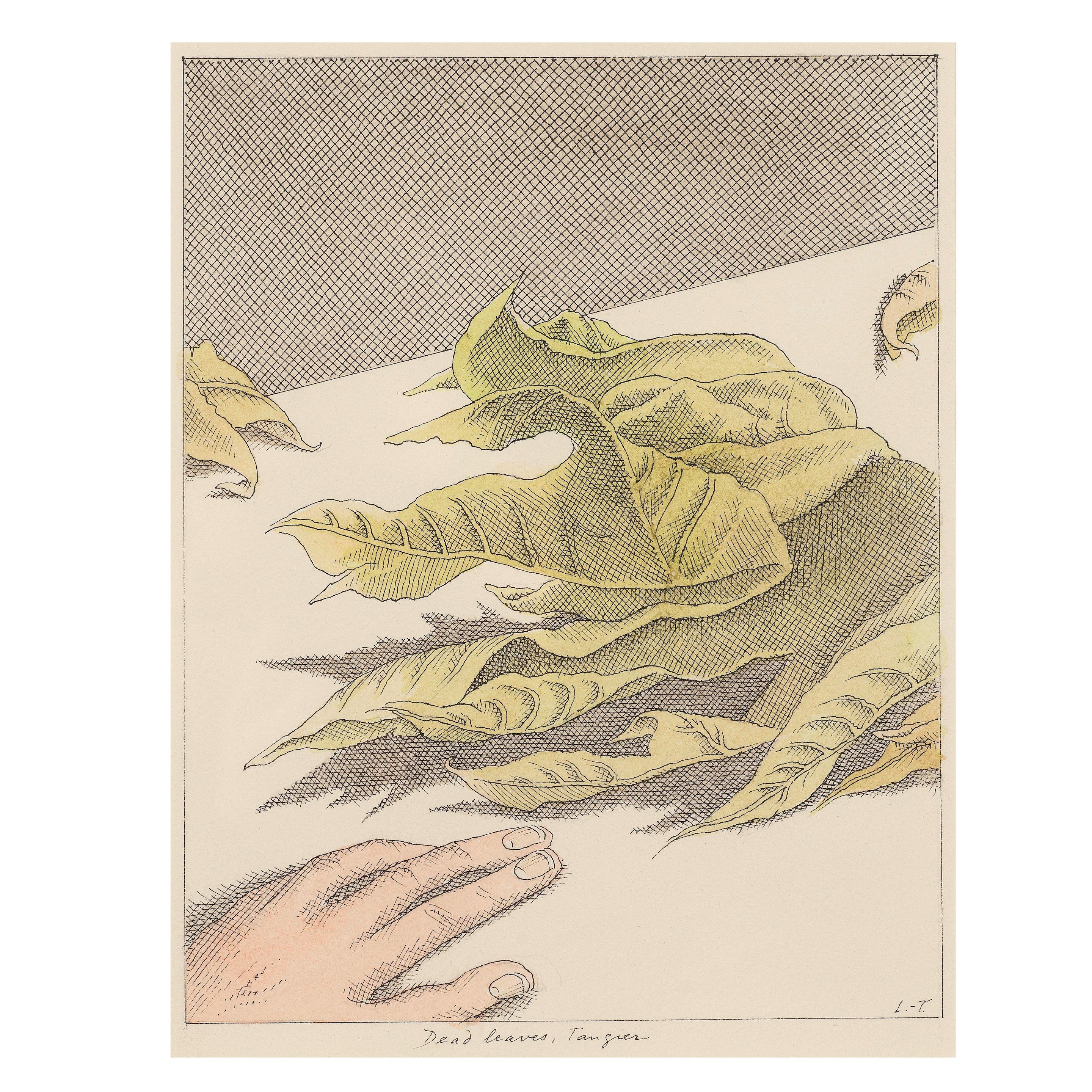 Pierre Le-Tan - Dead leaves, Tangier