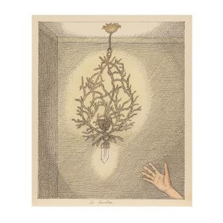 Pierre Le-Tan - Le lustre