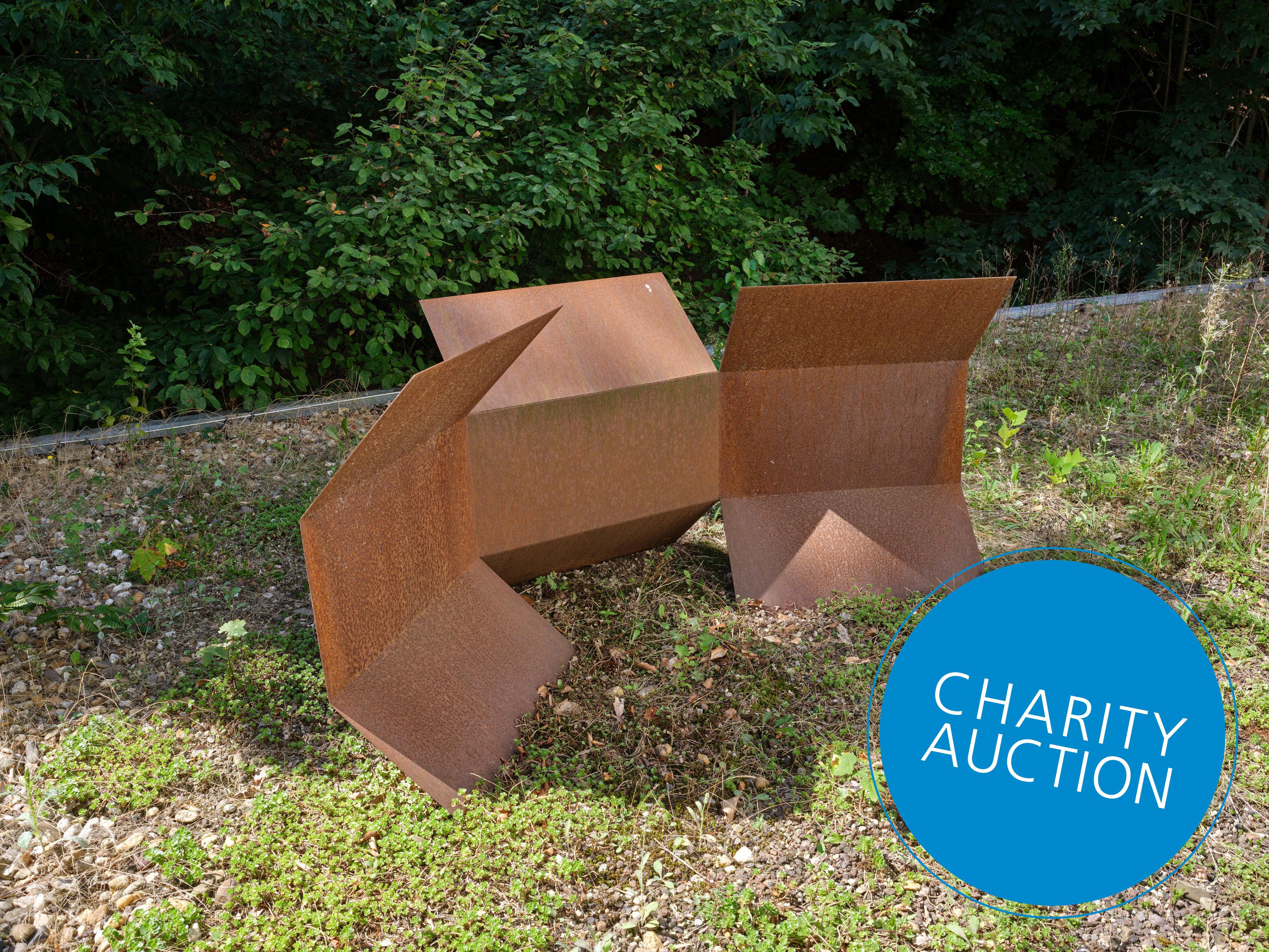 Pierre Theunissen - Faltung.