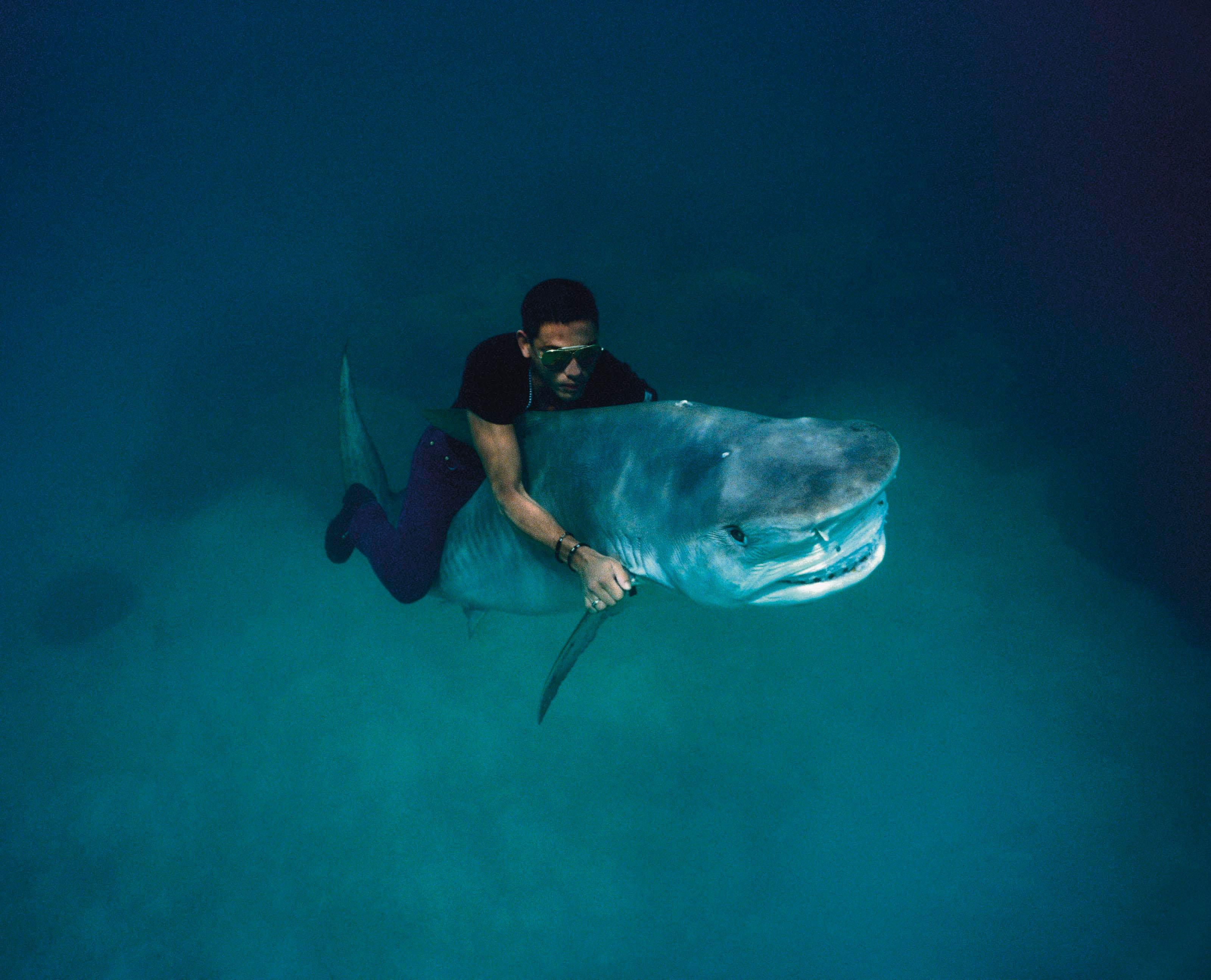 Pierre Winther - Shark Riding, 1992