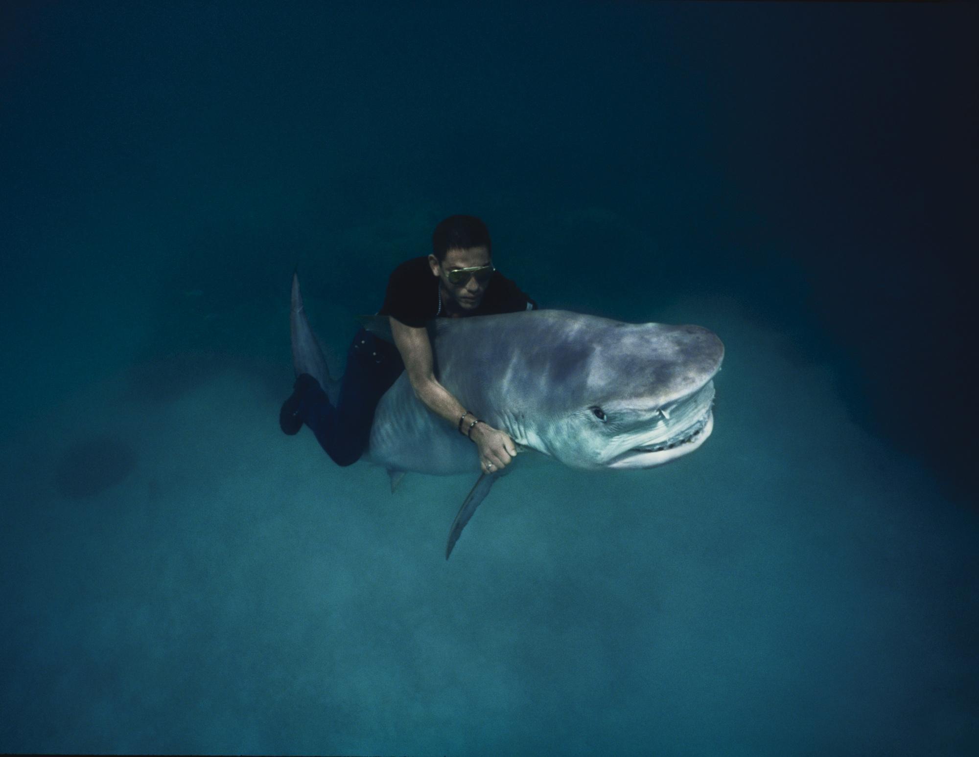 Pierre Winther - \'The Underwater Project, Shark Riding\', 1993