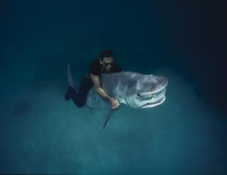 Pierre Winther - \'The Underwater Project, Shark Riding\', 1993