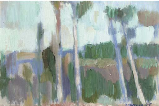 Piet Moget - A landscape