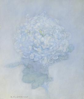 Piet Mondriaan - A chrysanthemum
