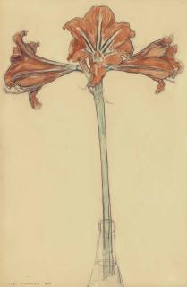 Piet Mondrian - Amaryllis