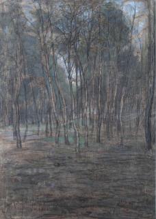 Piet Mondrian - Berkenbosje (Small Birch Forest)