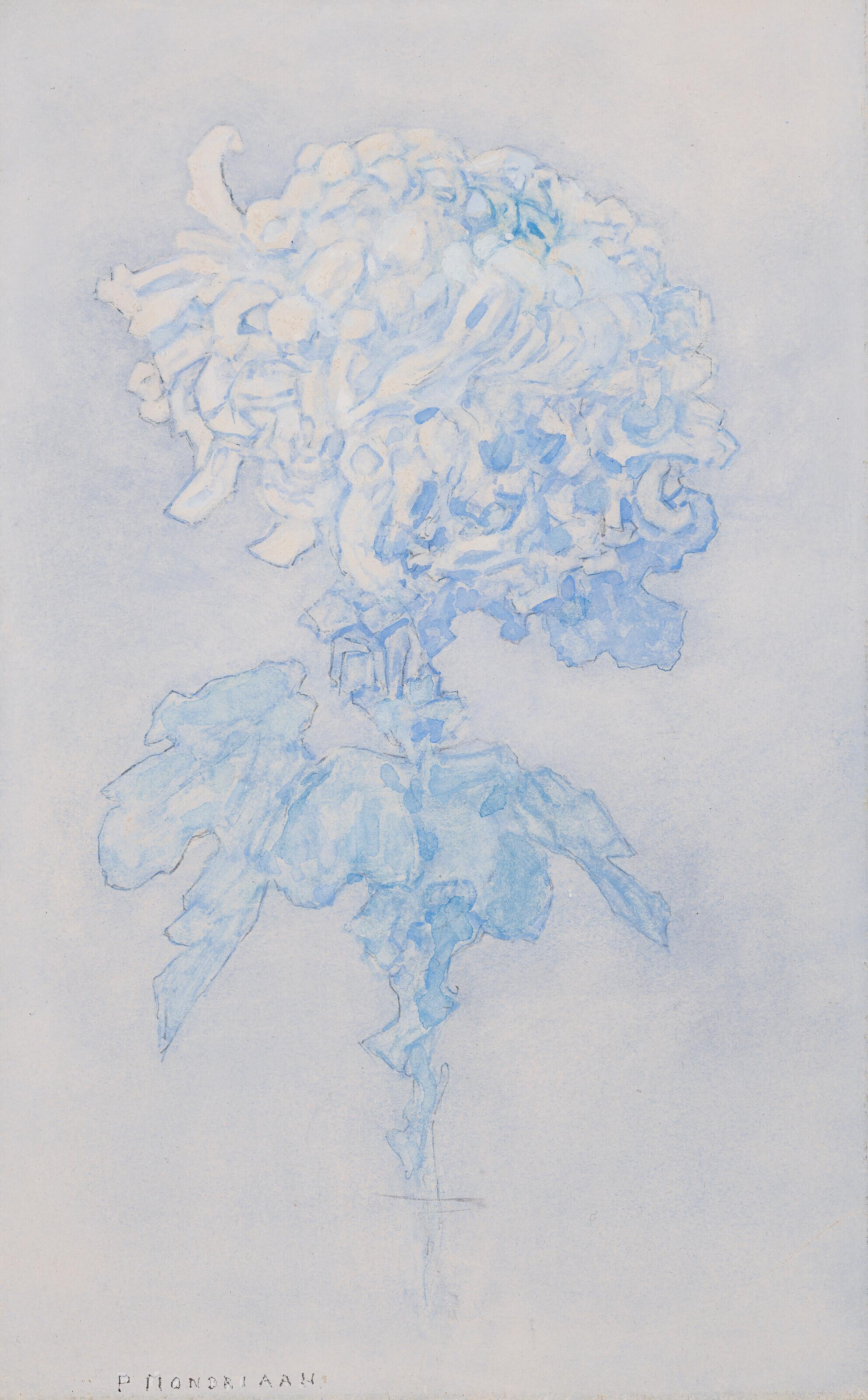 Piet Mondrian - Chrysant