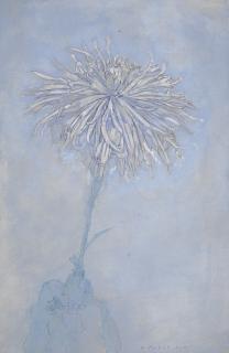 Piet Mondrian - Chrysant