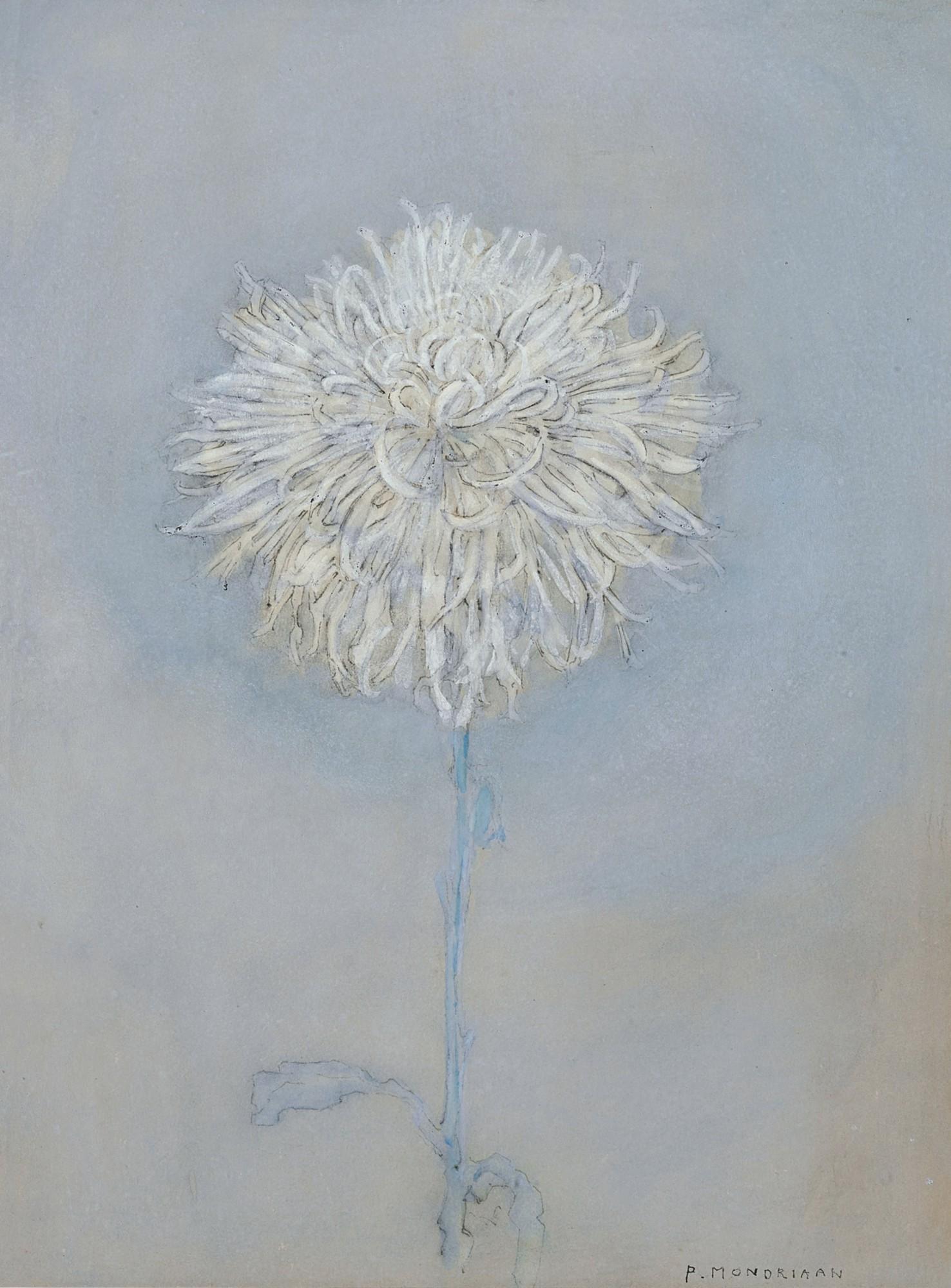 Piet Mondrian - Chrysanthemum