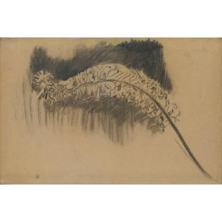 Piet Mondrian - Foxtail Lily : Study V