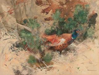 Piet van der Hem - A pheasant