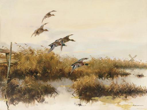 Piet van der Hem - Descending ducks