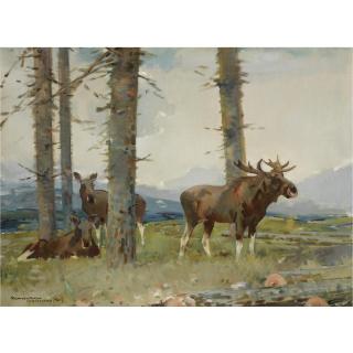 Piet van der Hem - Dutch Elanden