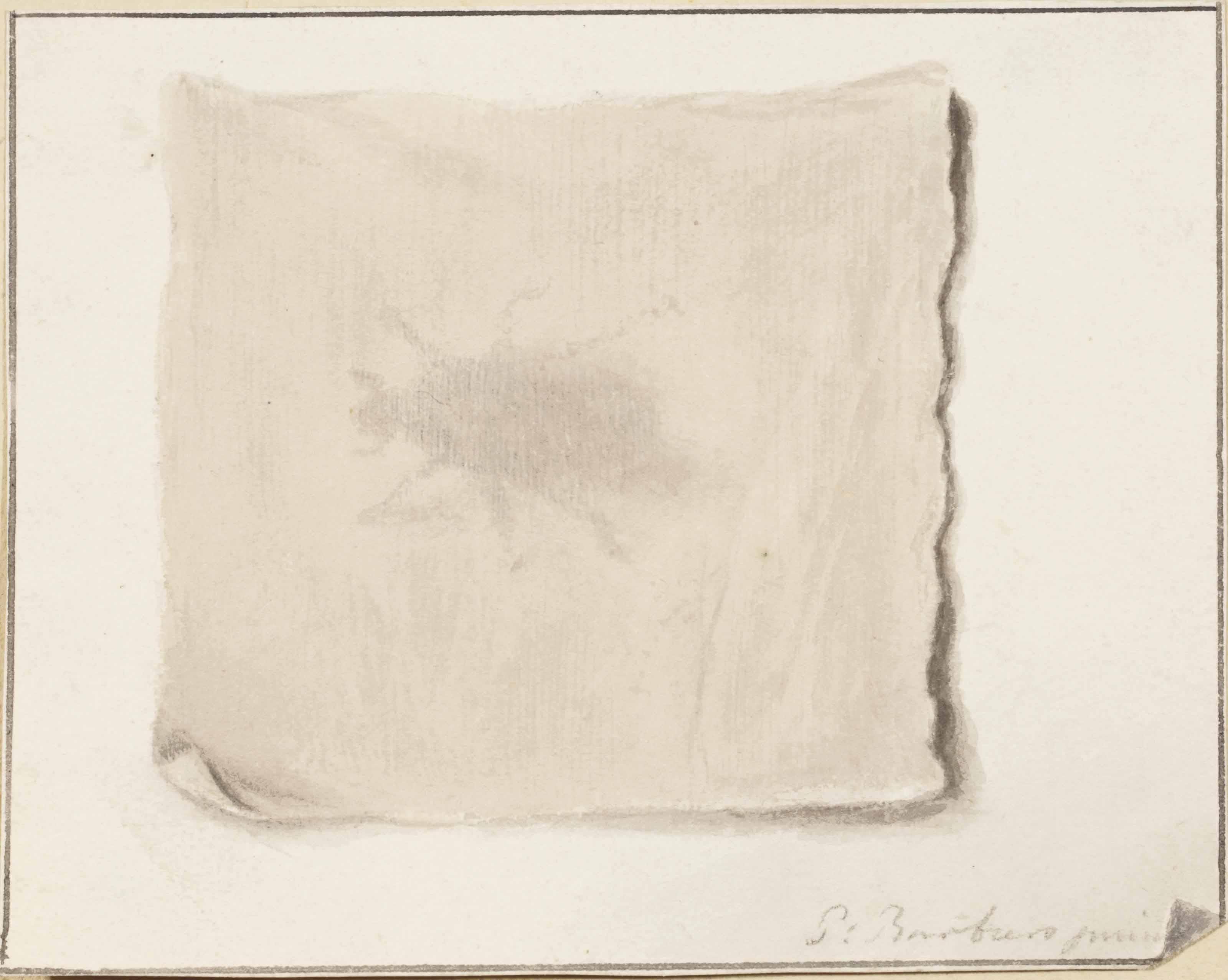 Pieter Barbiers I - A Trompe-L\'Oeil Of A Beetle Under A Cloth
