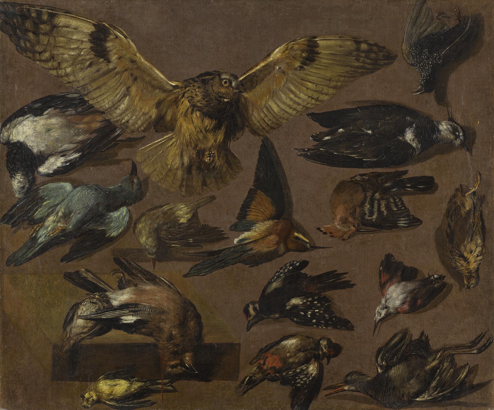 Pieter Boel - Studies Of An Owl And Other Birds