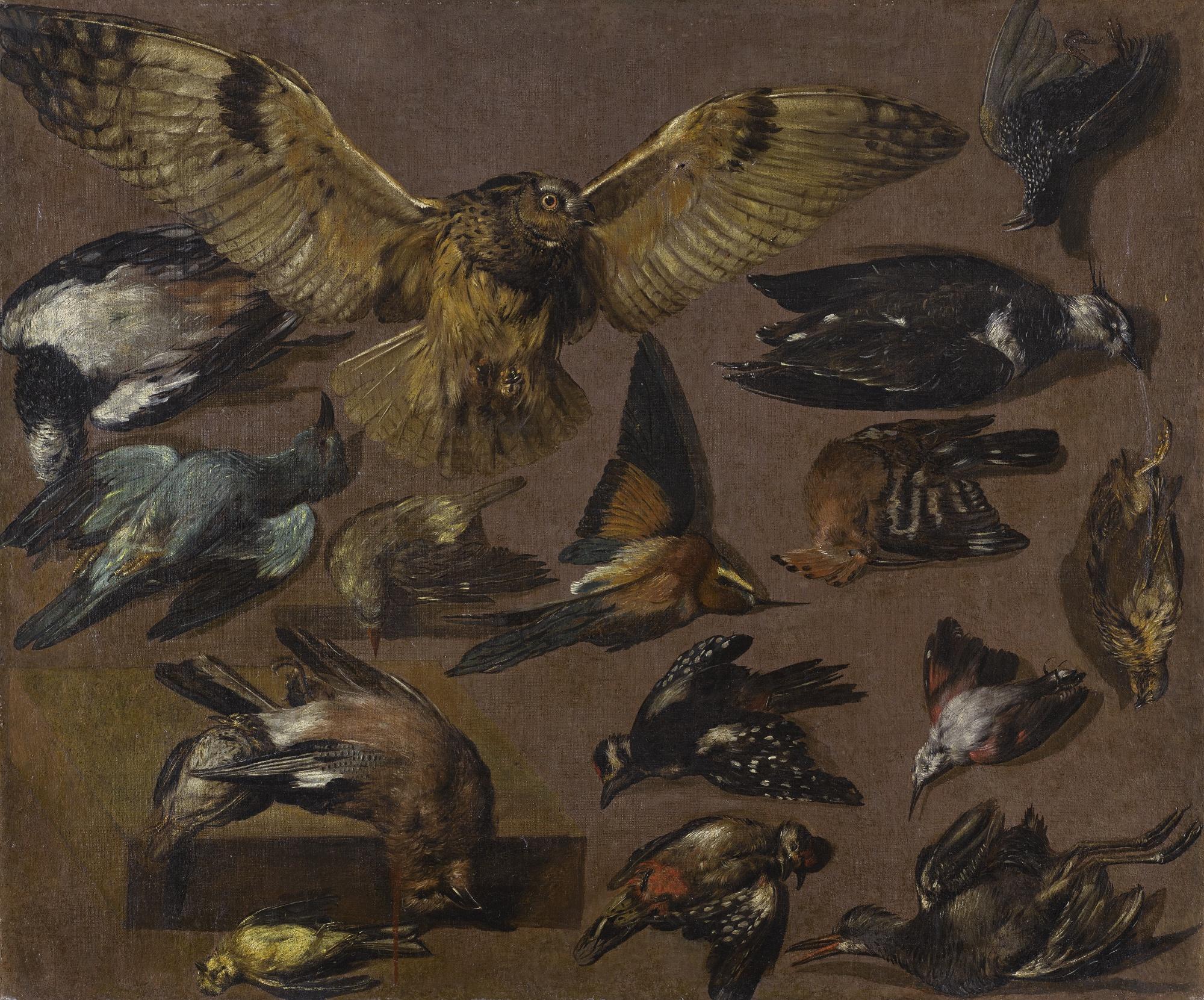 Pieter Boel - Studies Of An Owl And Other Birds