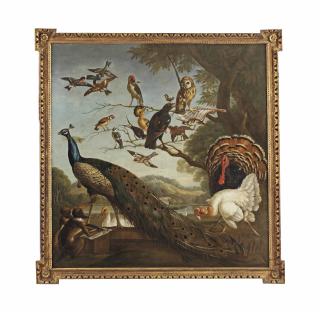 Pieter Casteels III - A bird\'s concert with Aesop\'s Fable of the Stolen Feathers