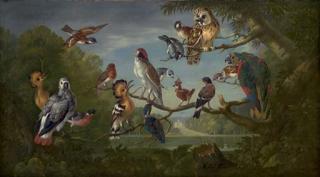Pieter Casteels III - A concert of birds