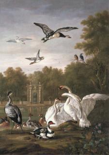 Pieter Casteels III - A park with swans, ducks and other birds by a pond