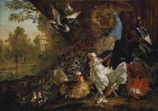 Pieter Casteels III - A Peacock, Chickens, Pigeons And Other Birds In A Landscape