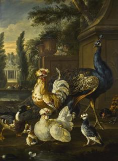 Pieter Casteels III - Wildfowl And A Peacock In A Palace Courtyard