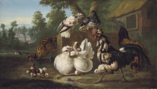 Pieter Casteels - Cockerels, chicks and pigeons in a farmyard, ducks and ducklings near a pond beyond, a house behind