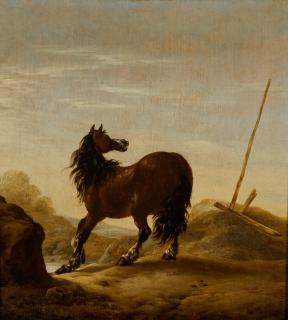 Pieter Cornelisz Verbeeck - A Bay Horse In A Dune Landscape