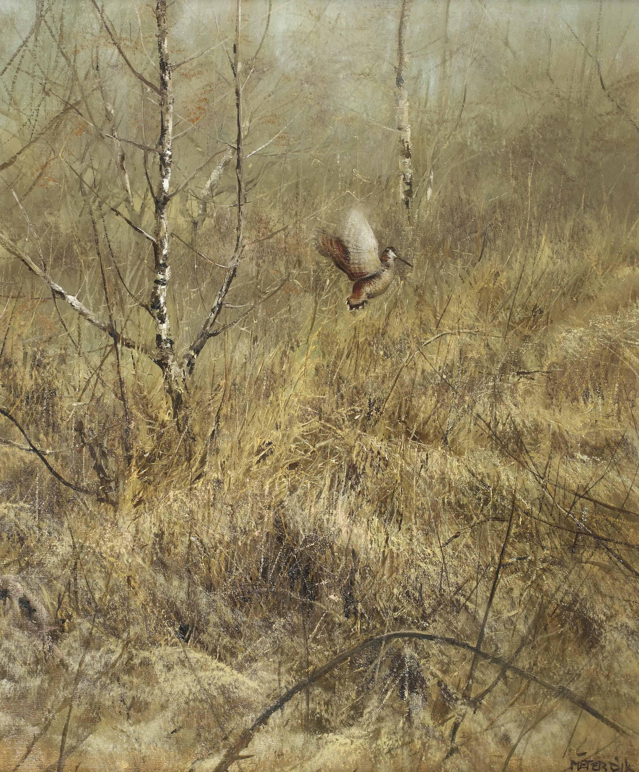 Pieter Daniel Dik - Flying bird