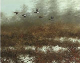 Pieter Dik - A flock of ducks