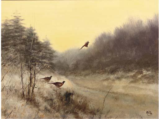 Pieter Dik - Pheasants