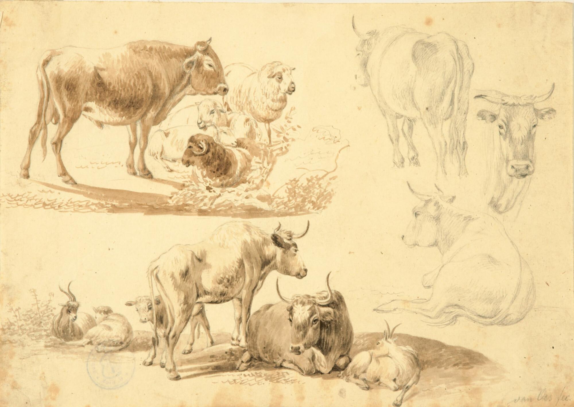 Pieter Gerardus van Os - Rinder, Ziegen und Schafe.
