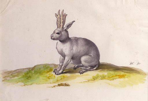 Pieter Holsteijn I - A hail with horns and a tail