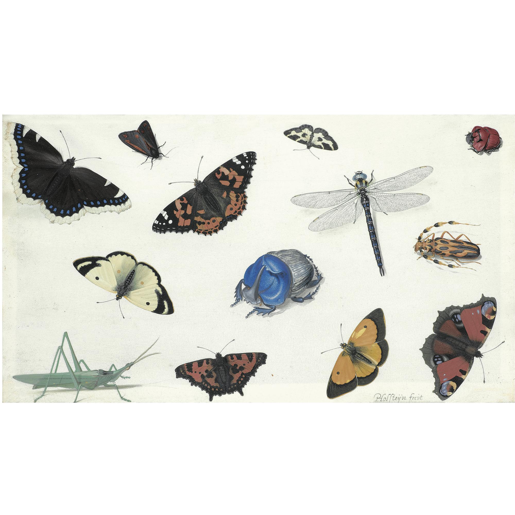 Pieter Holsteyn the Elder - A Sheet Of Studies Of Butterflies, Moths And Beetles, Including A Blue Rhinoceros Beetle And A Grasshopper 