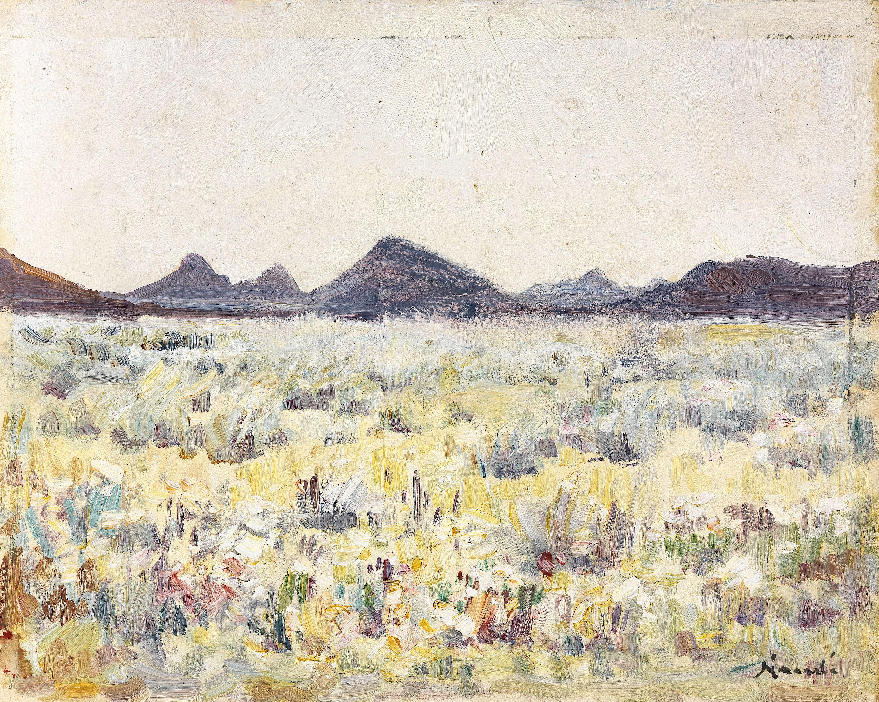 Pieter Hugo Naudé - In Namaqualand unframed.