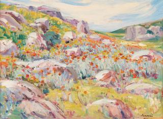 Pieter Hugo Naudé - Namaqualand (Framed)