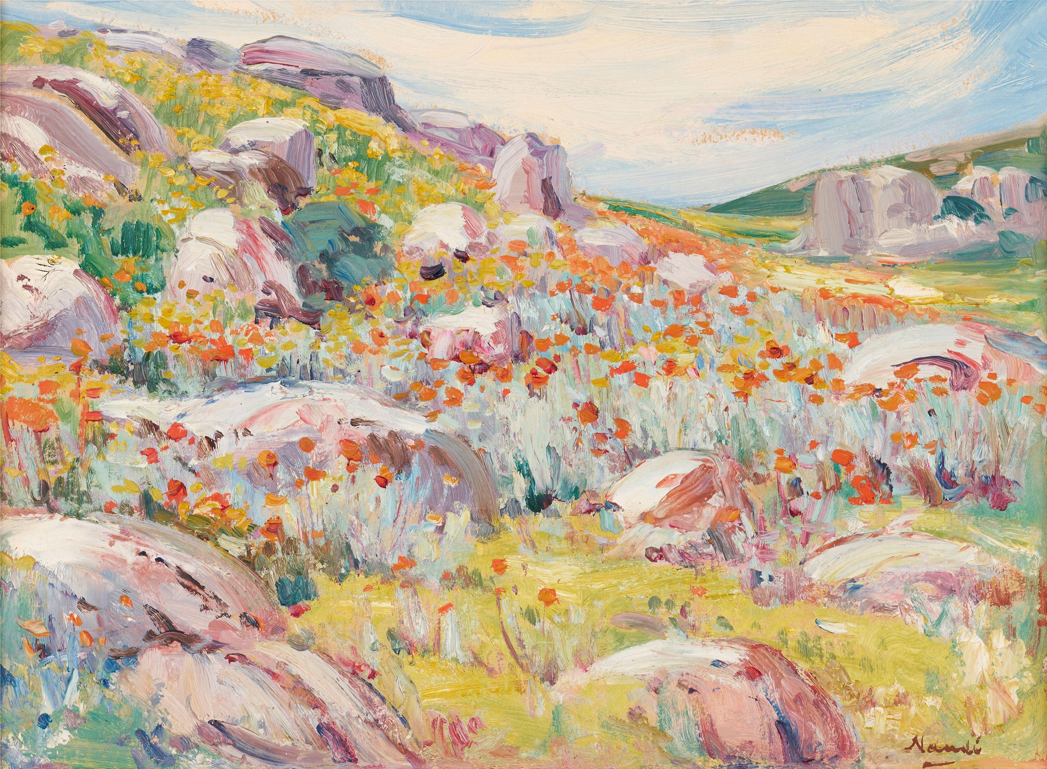 Pieter Hugo Naudé - Namaqualand