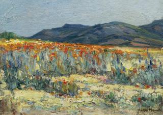 Pieter Hugo Naude - Springtime, Namaqualand