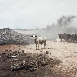 Pieter Hugo - Agbogbloshie Market, Accra, Ghana
