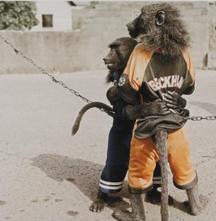 Pieter Hugo - \'Amiloo And Clear, Abuja, Nigeria\', 2005