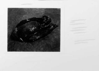 Pieter Laurens Mol - The Witness