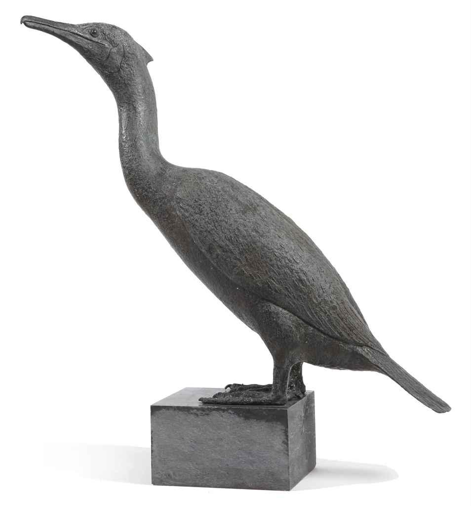 Pieter Starreveld - Aalscholver - Cormorant