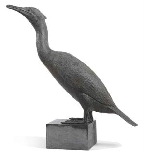 Pieter Starreveld - Aalscholver - Cormorant