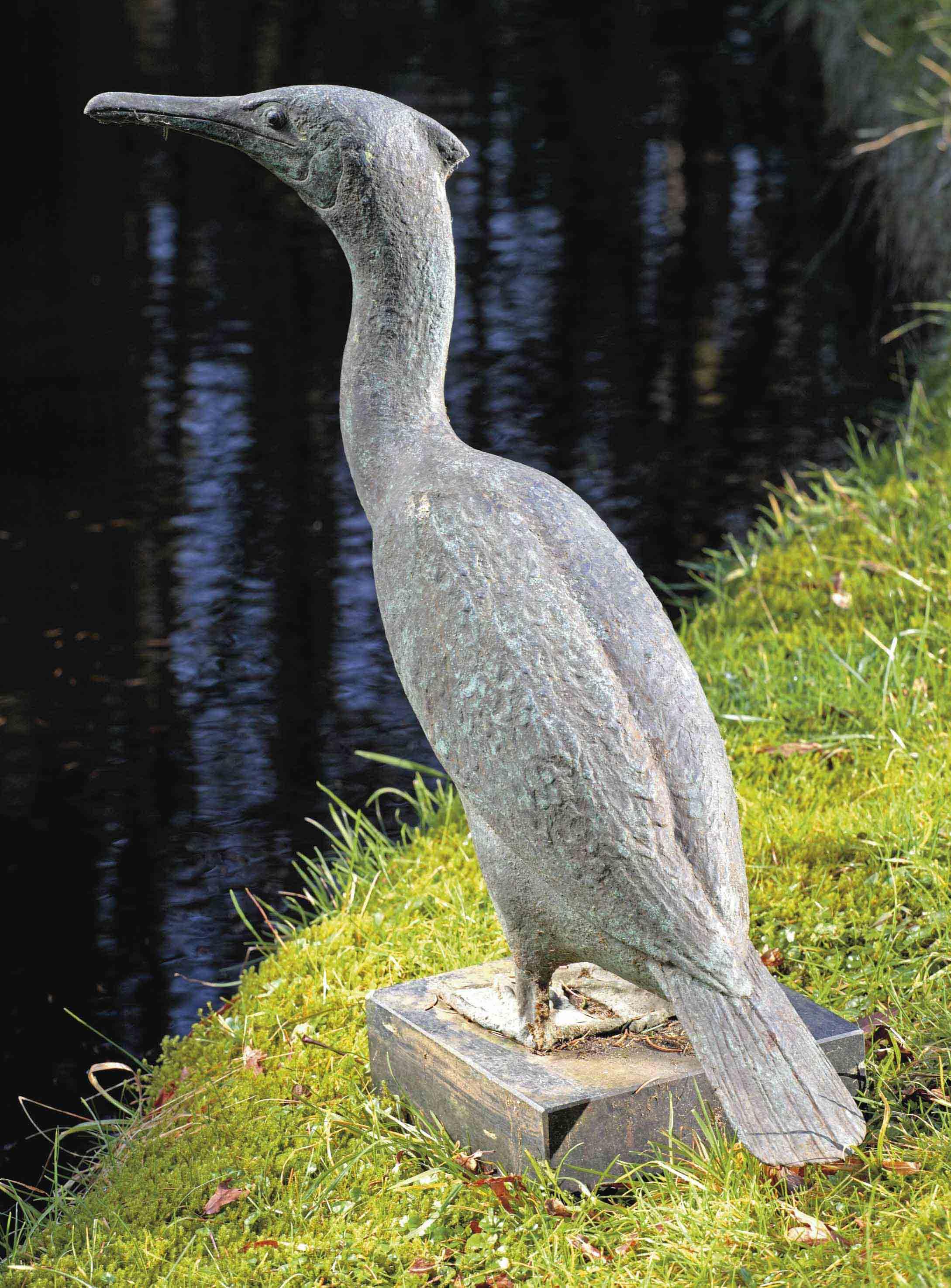 Pieter Starreveld - Cormorant