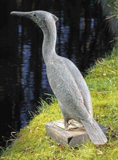 Pieter Starreveld - Cormorant